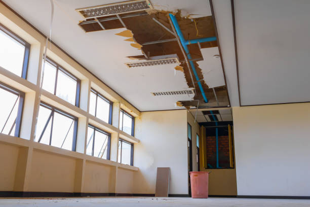 Best Professional water damage repair  in Salmon, ID