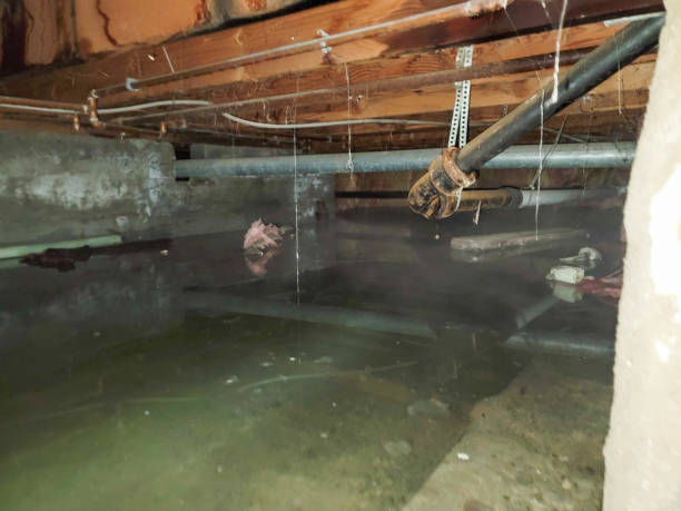 Water damage restoration insurance claims in ID