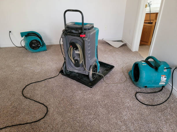 Best Water damage restoration near me  in Salmon, ID