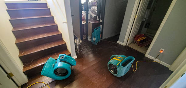 Best Fire Damage Restoration  in Salmon, ID
