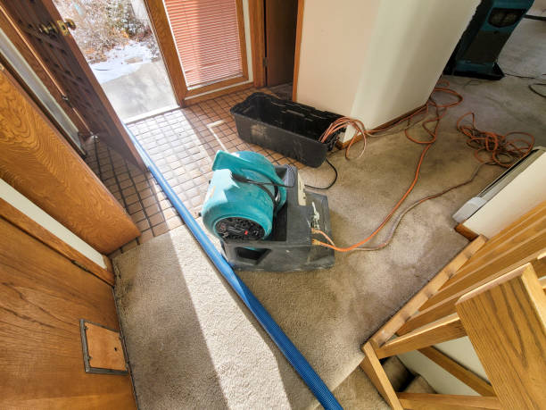 Best Sewage cleanup and water damage restoration  in Salmon, ID