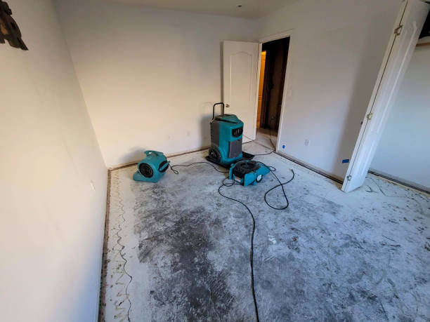 Best Professional water damage repair  in Salmon, ID