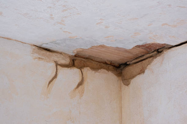 Best Water damage restoration near me  in Salmon, ID