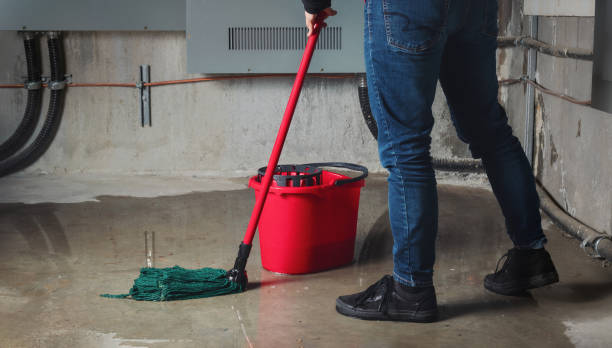 Best Mold removal after water damage  in Salmon, ID