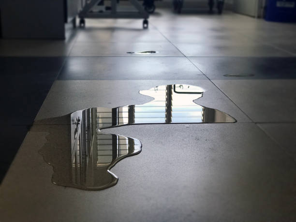 Best Water damage restoration near me  in Salmon, ID