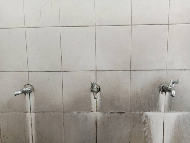 Best Ceiling water damage repair  in Salmon, ID