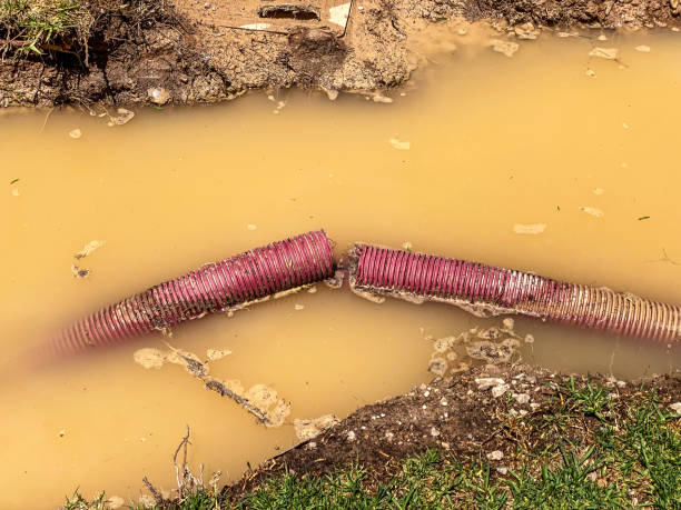 Best 24/7 water damage repair  in Salmon, ID